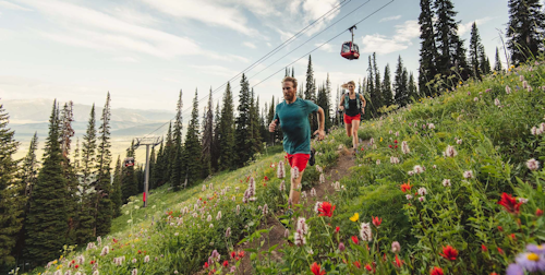 Wildflower trail running