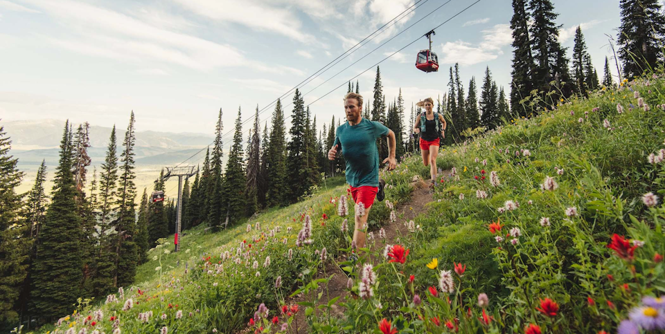 Wildflower trail running