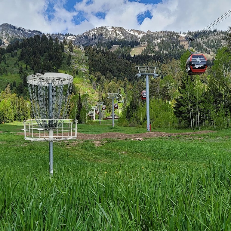 Disc Golf