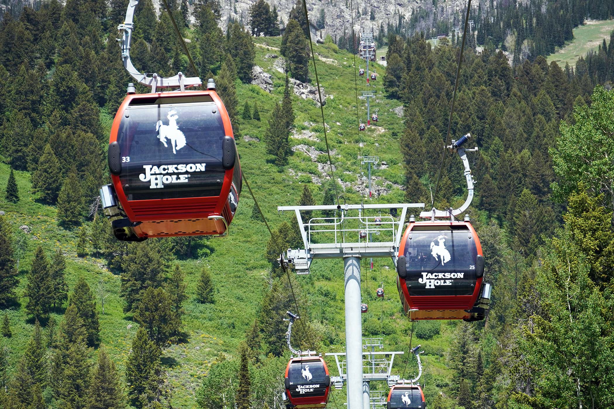 Sweetwater Gondola in summer