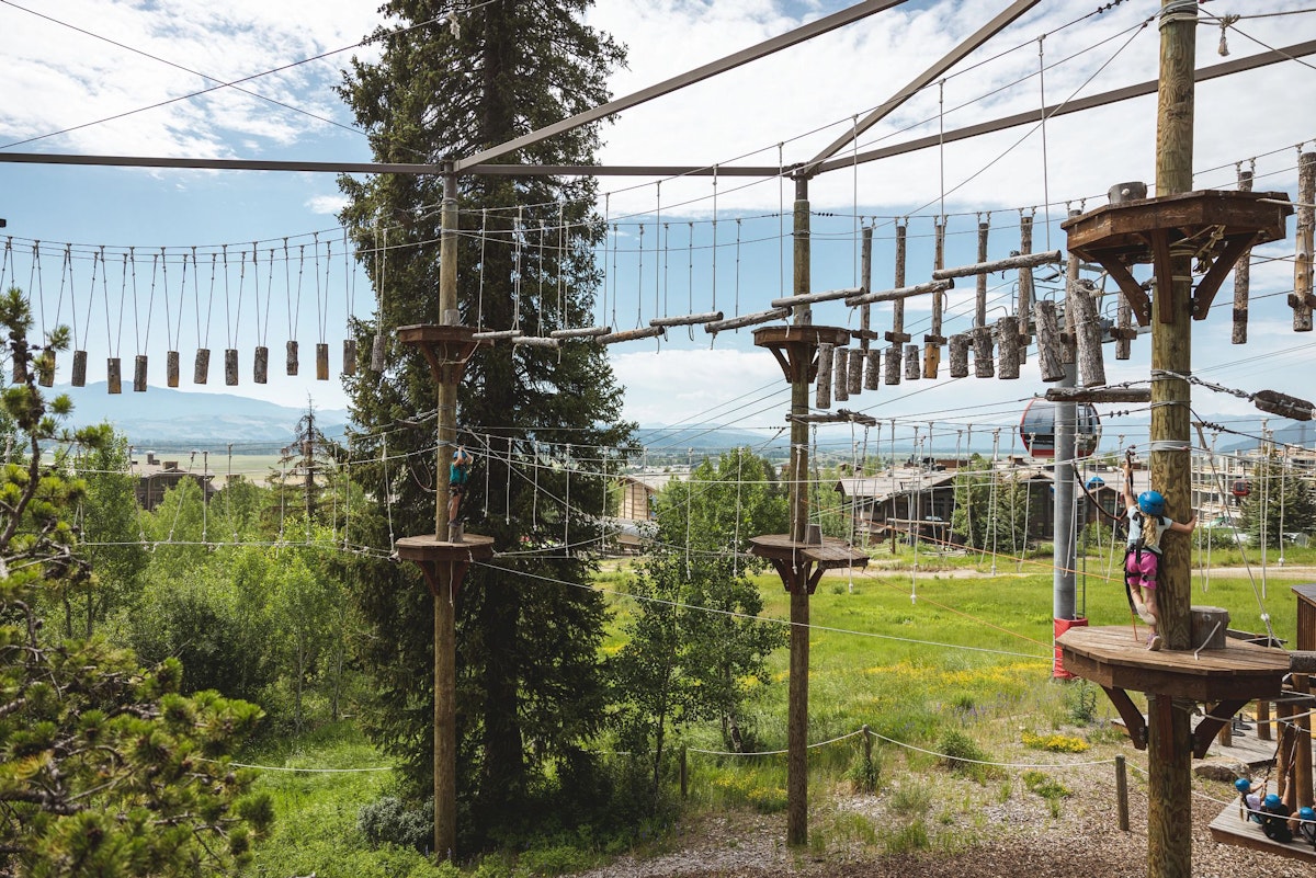 The Aerial Ropes Course