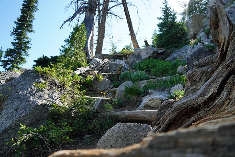 A section of the Holy Moly trail