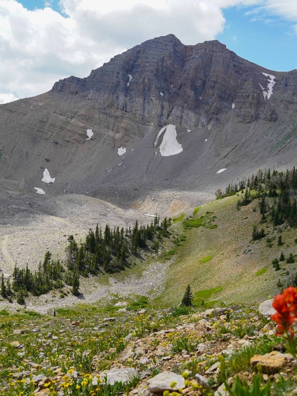 View of Cody Peak on Rock Springs Loop