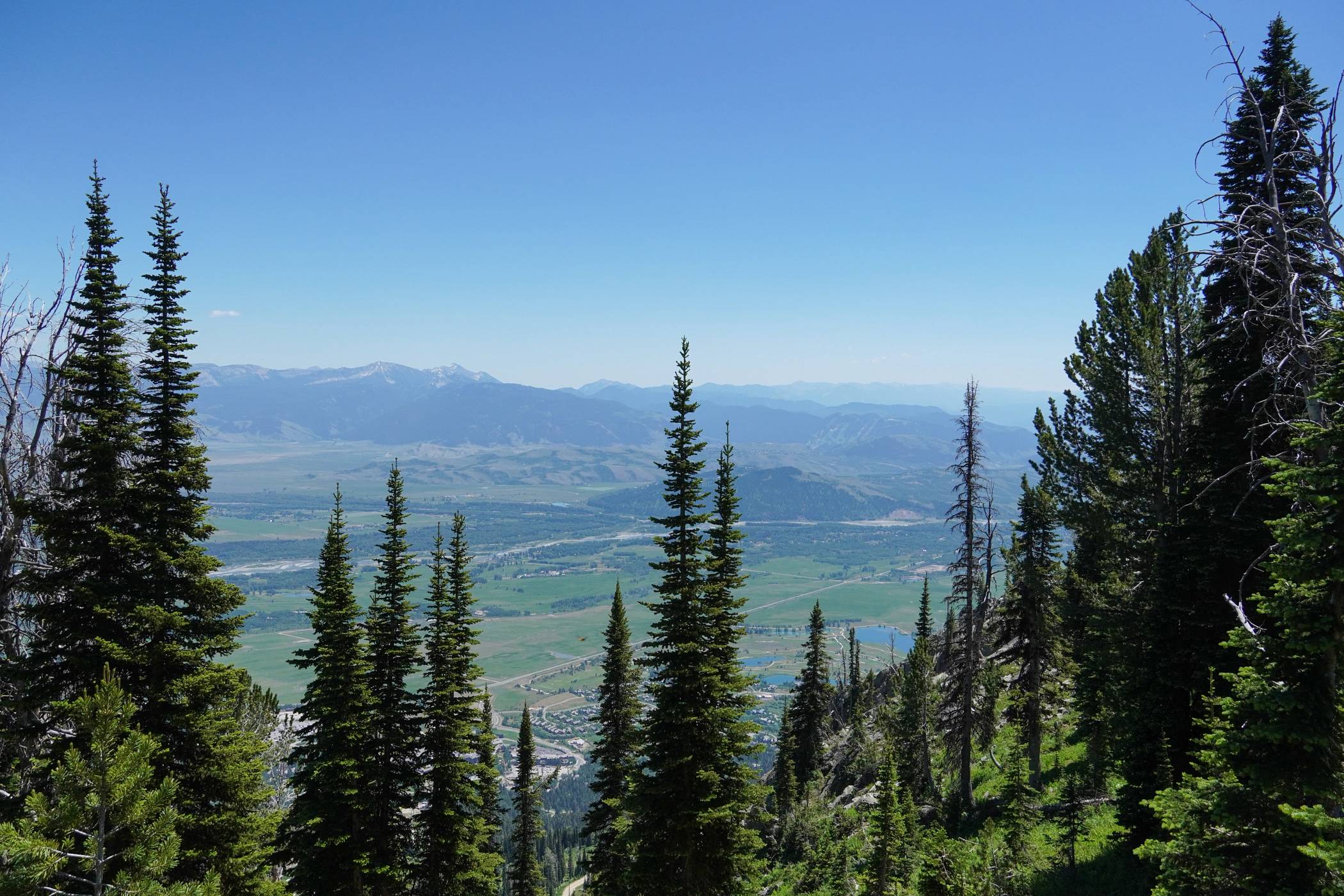 View through pine trees on Casper Ridge Loop