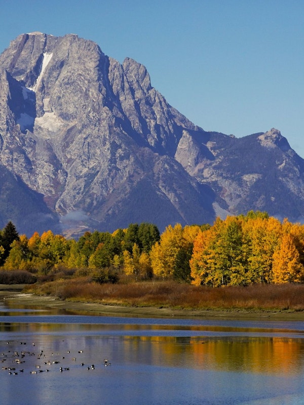 View of Mount Moran from Oxbow Bend Turnout