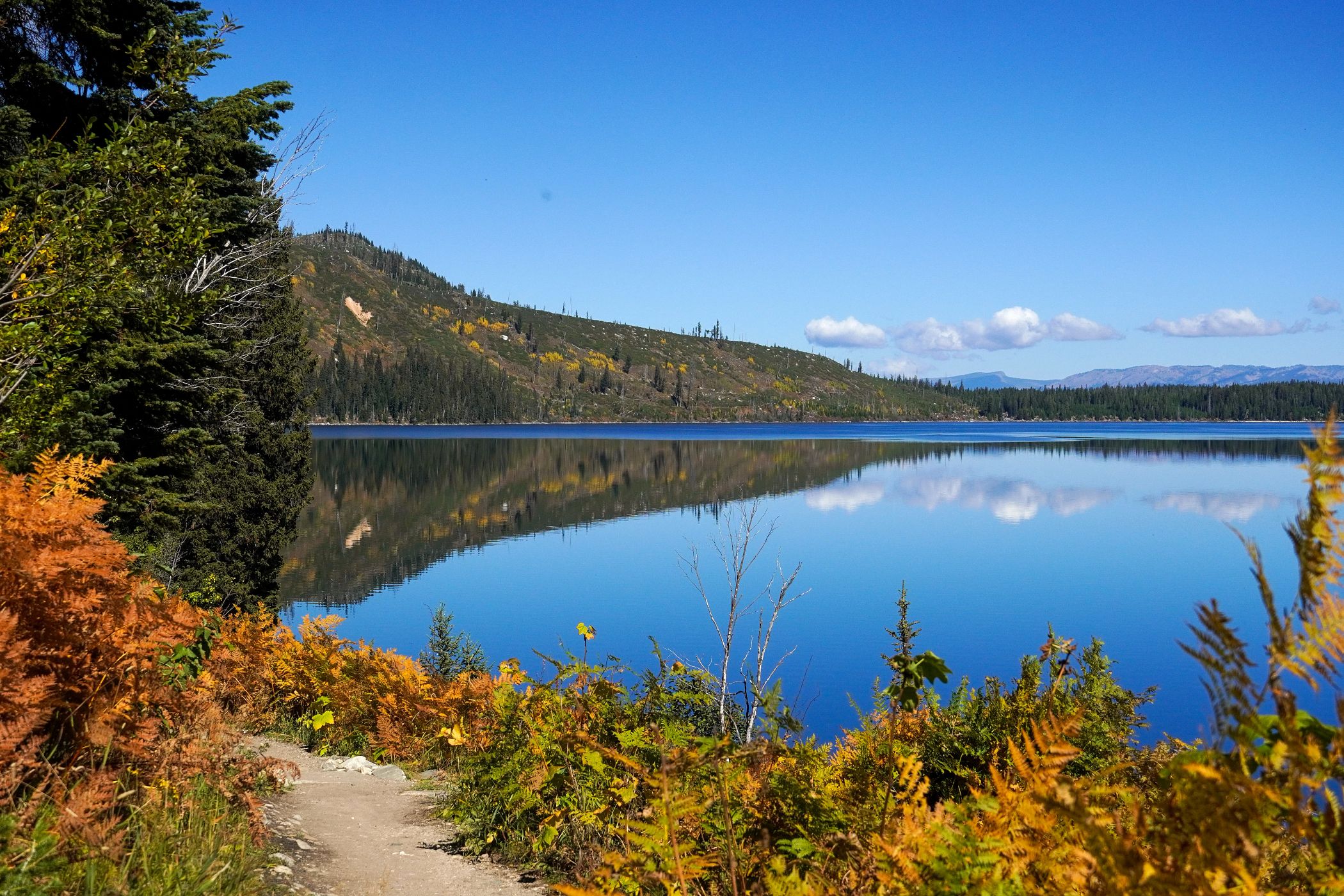 Trail looking around Jenny Lake in the fall