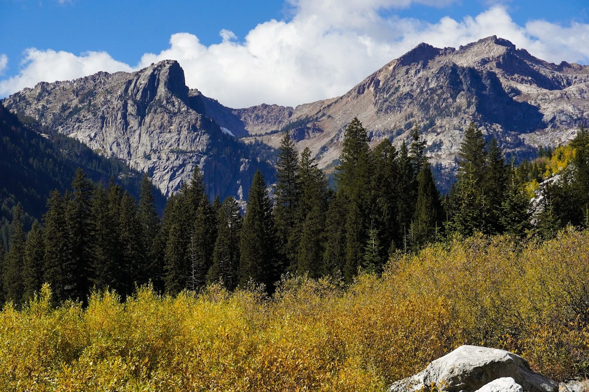 Mountains and trees in the fall