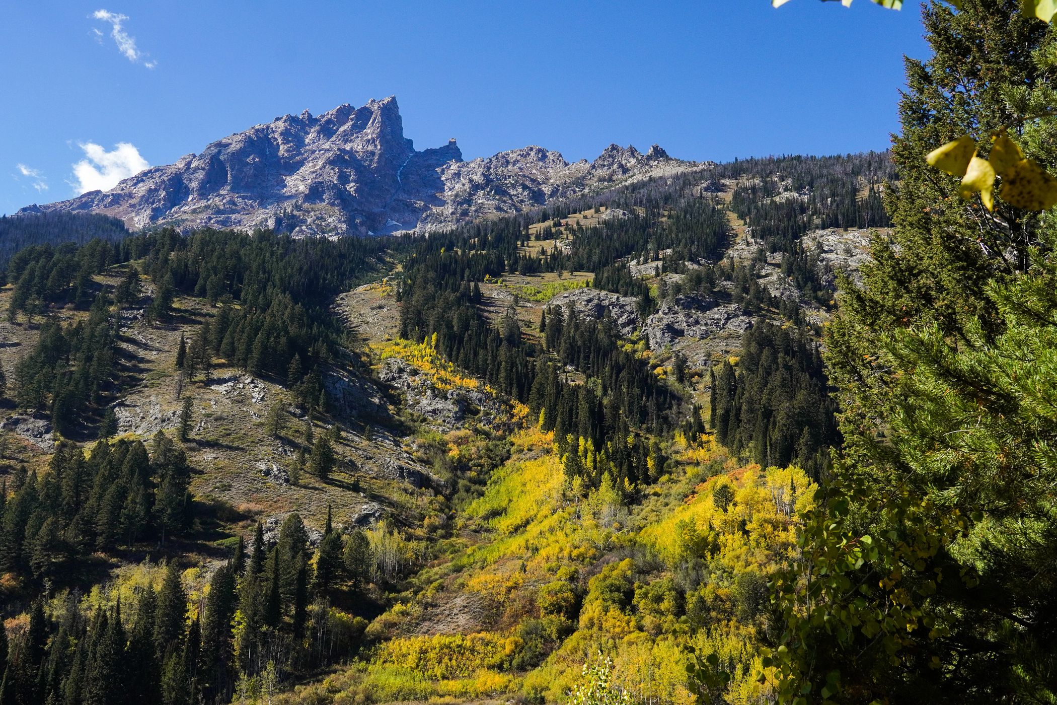 Mountains near Jenny Lake in the fall