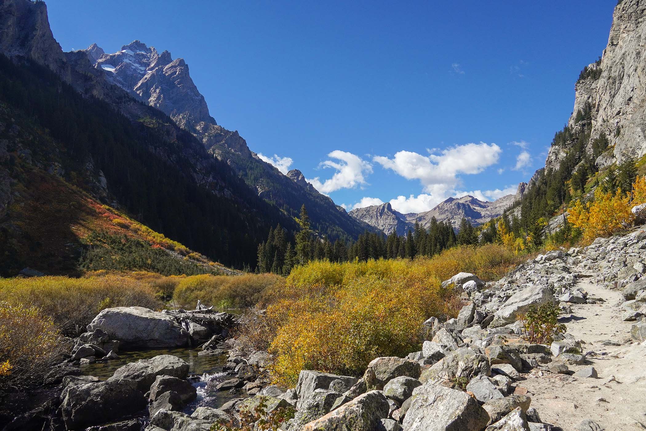 Cascade Canyon in the fall
