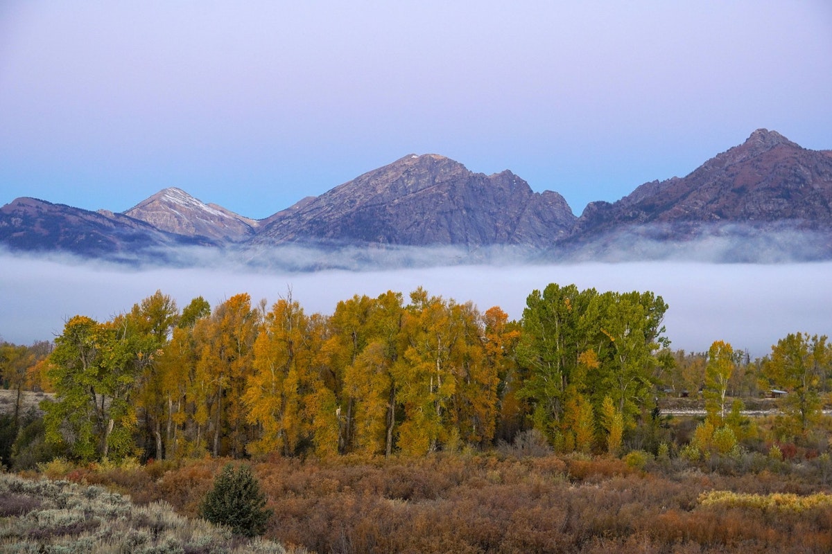 trees and mountains in GTNP in the fall