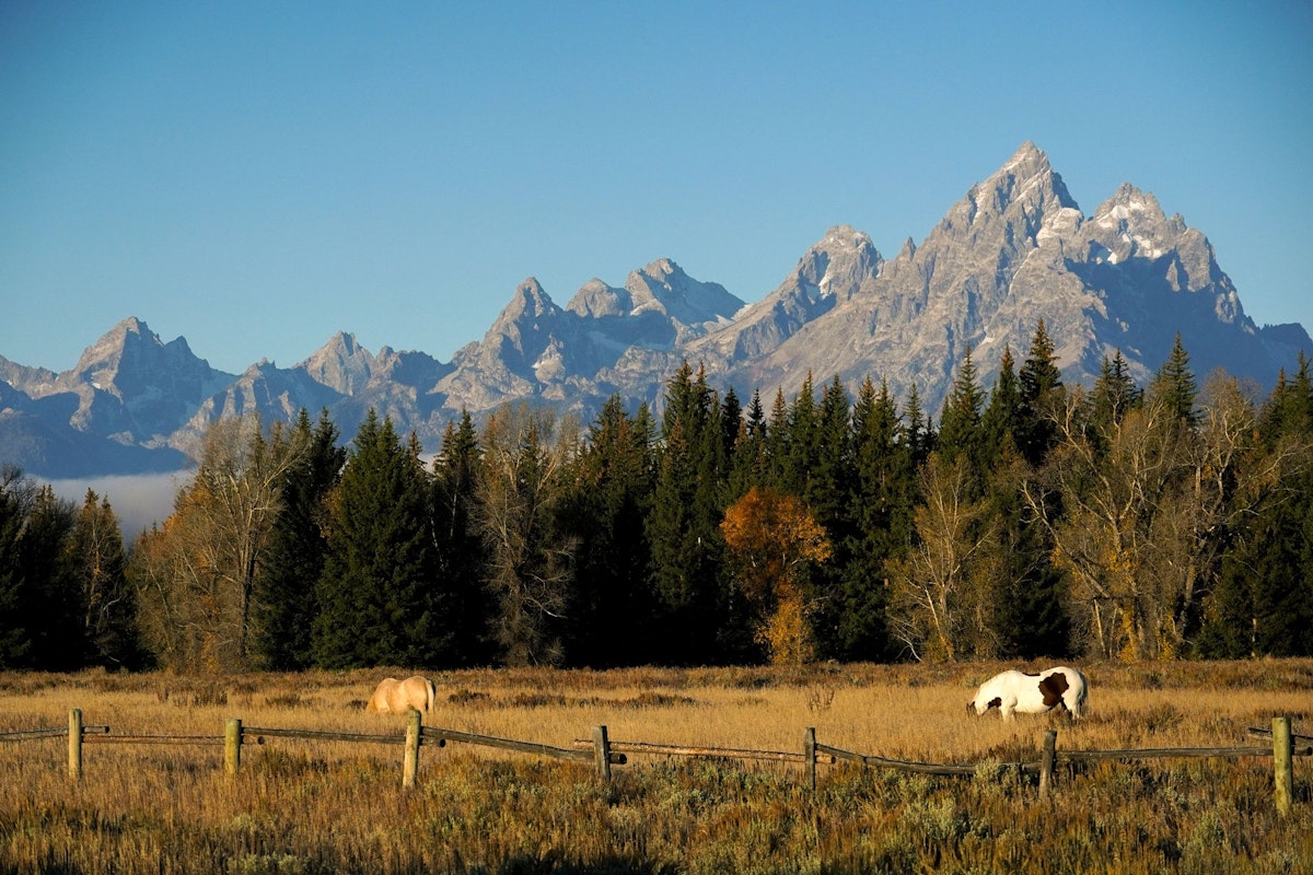 Horses grazing in a field in front of the Grand