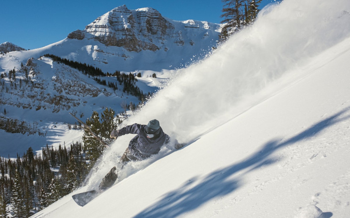 Snowboarding powder