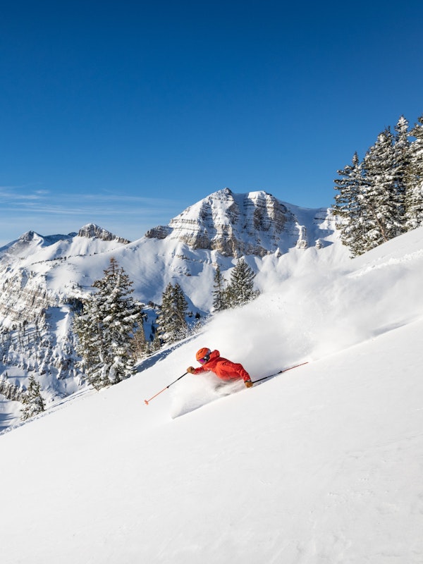 Max Martin skiing powder