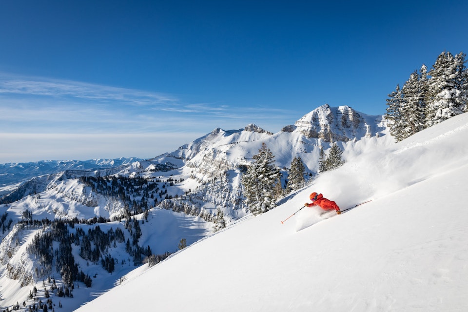 Max Martin skiing powder