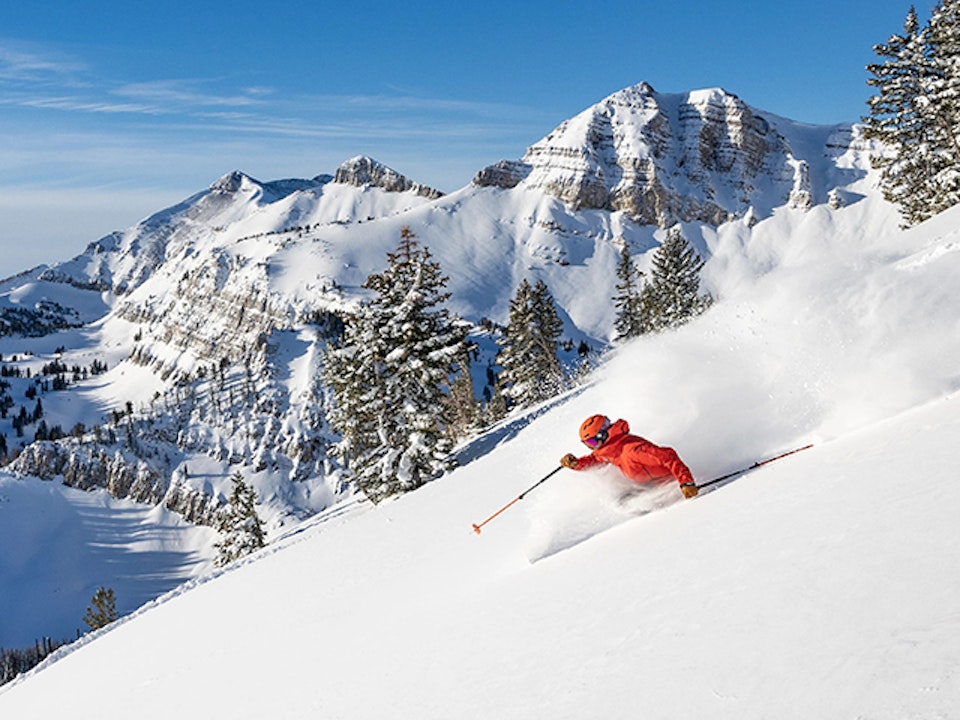 Person skiing in powder