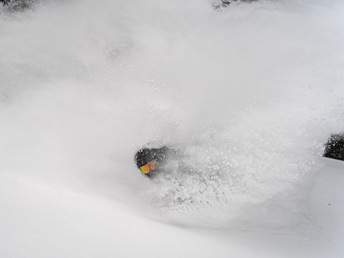 Cam FitzPatrick cloaked
