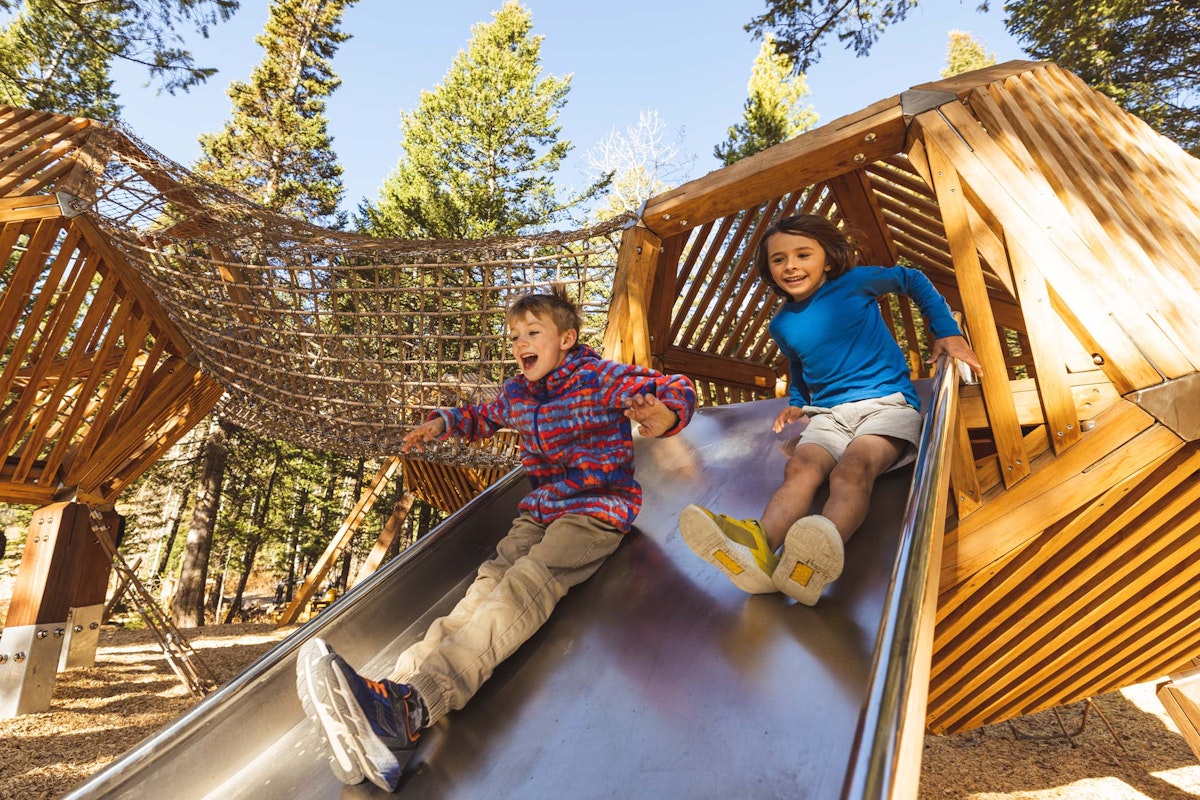 Two boys going down a slide in the Wild Woods Playground