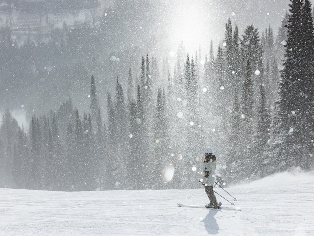 Skier in the sunlight