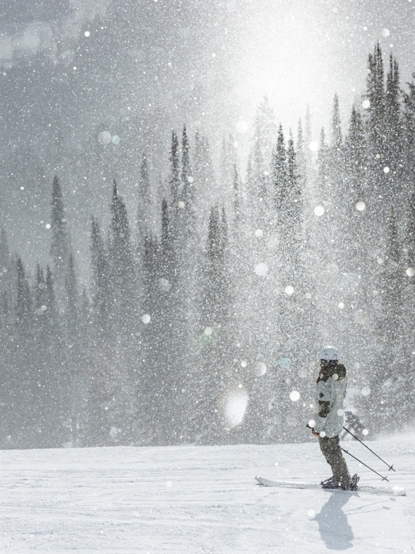 Skier in the sunlight