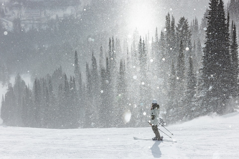 Skier in the sunlight