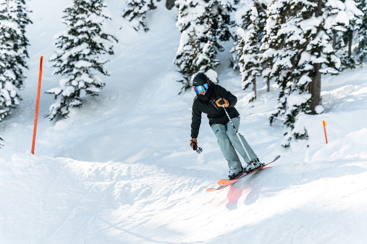 Skier