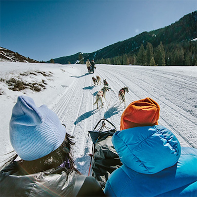 sled dogs pulling sled