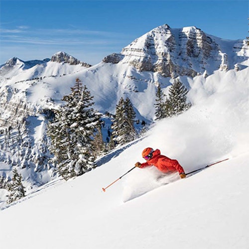 Person skiing in powder