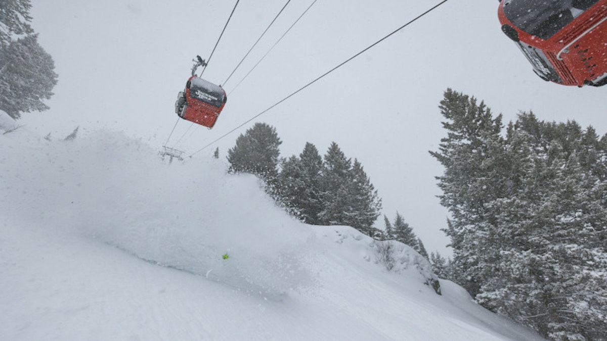 Skiing powder