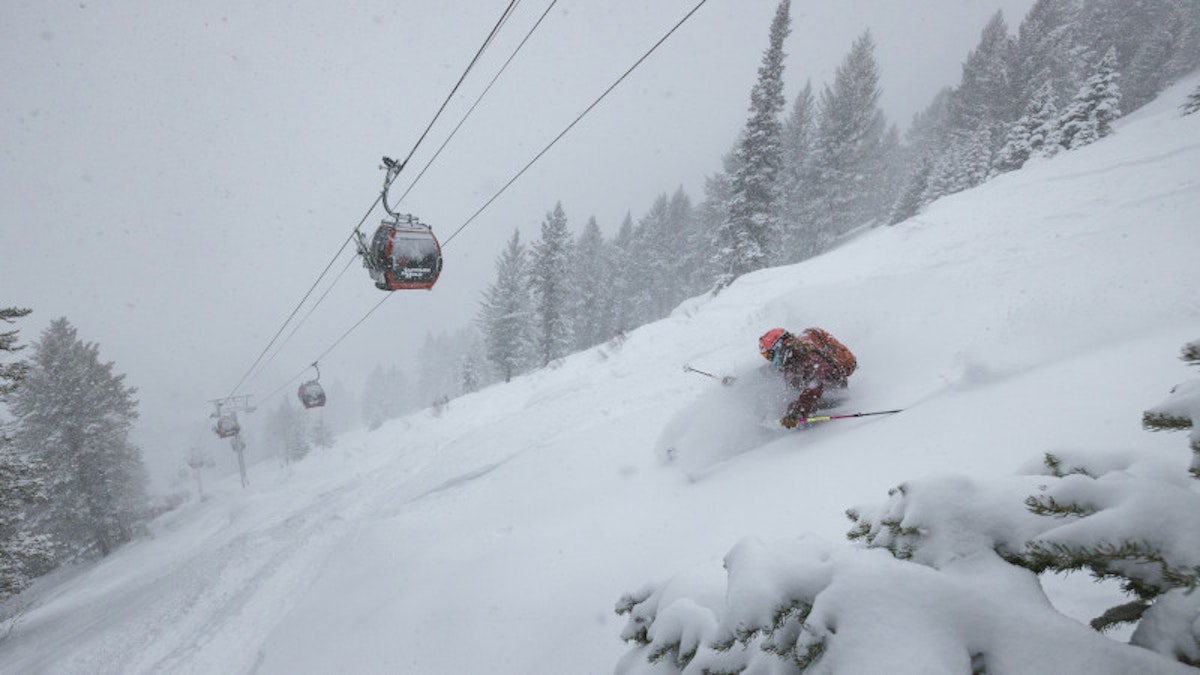 Skiing powder