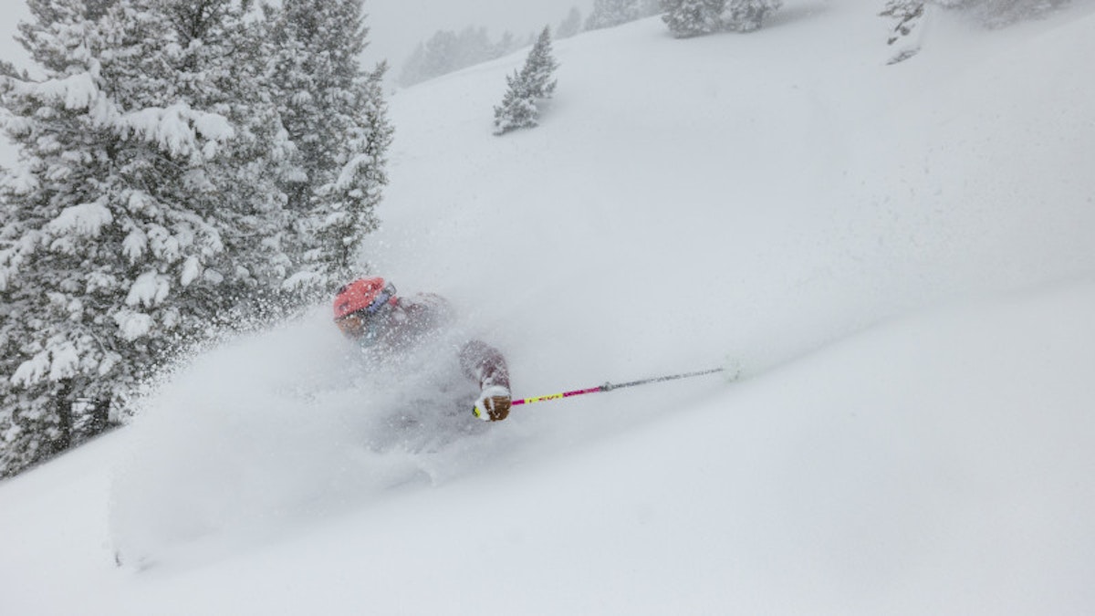 Skiing powder