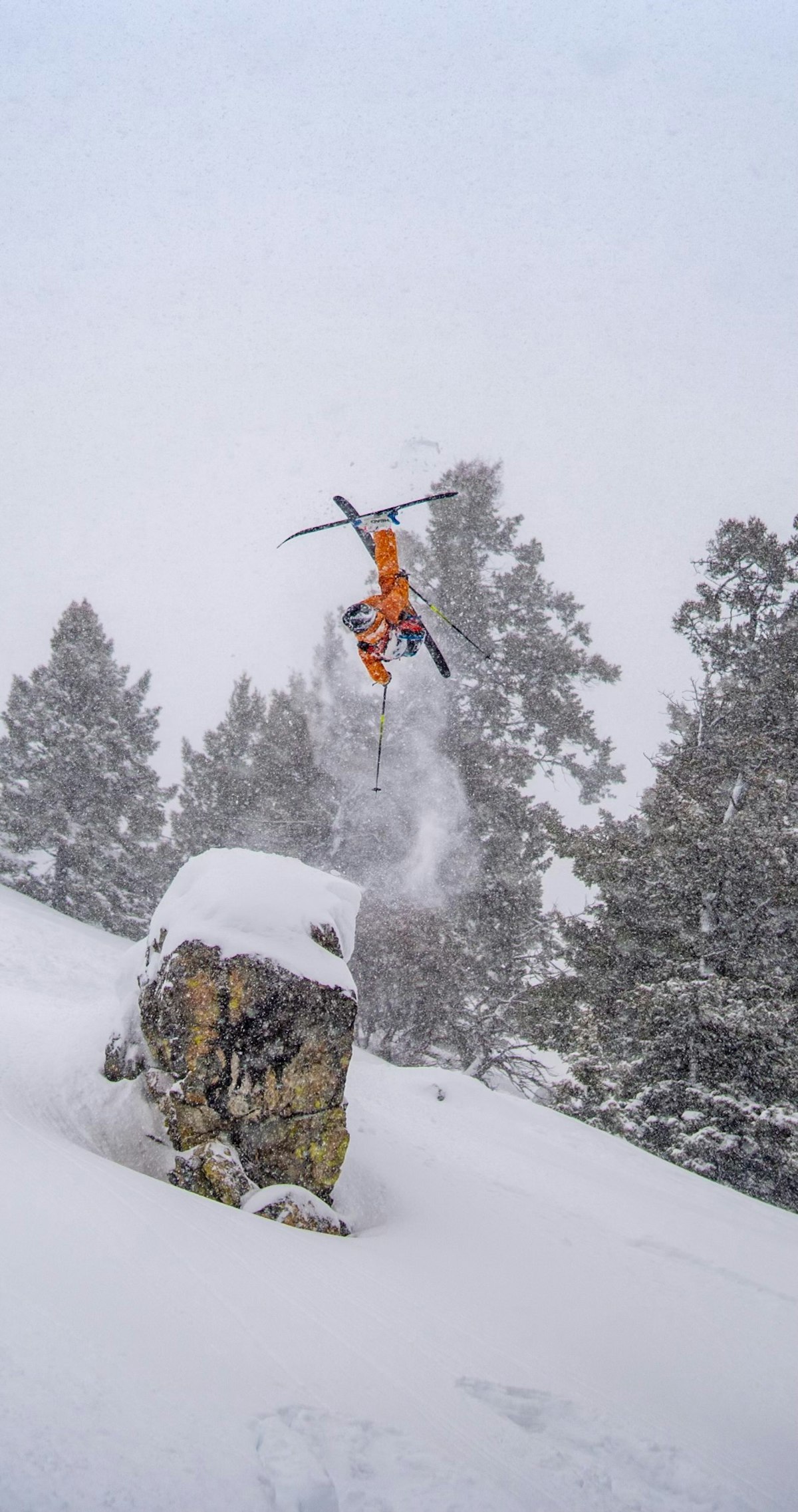 Skiing powder