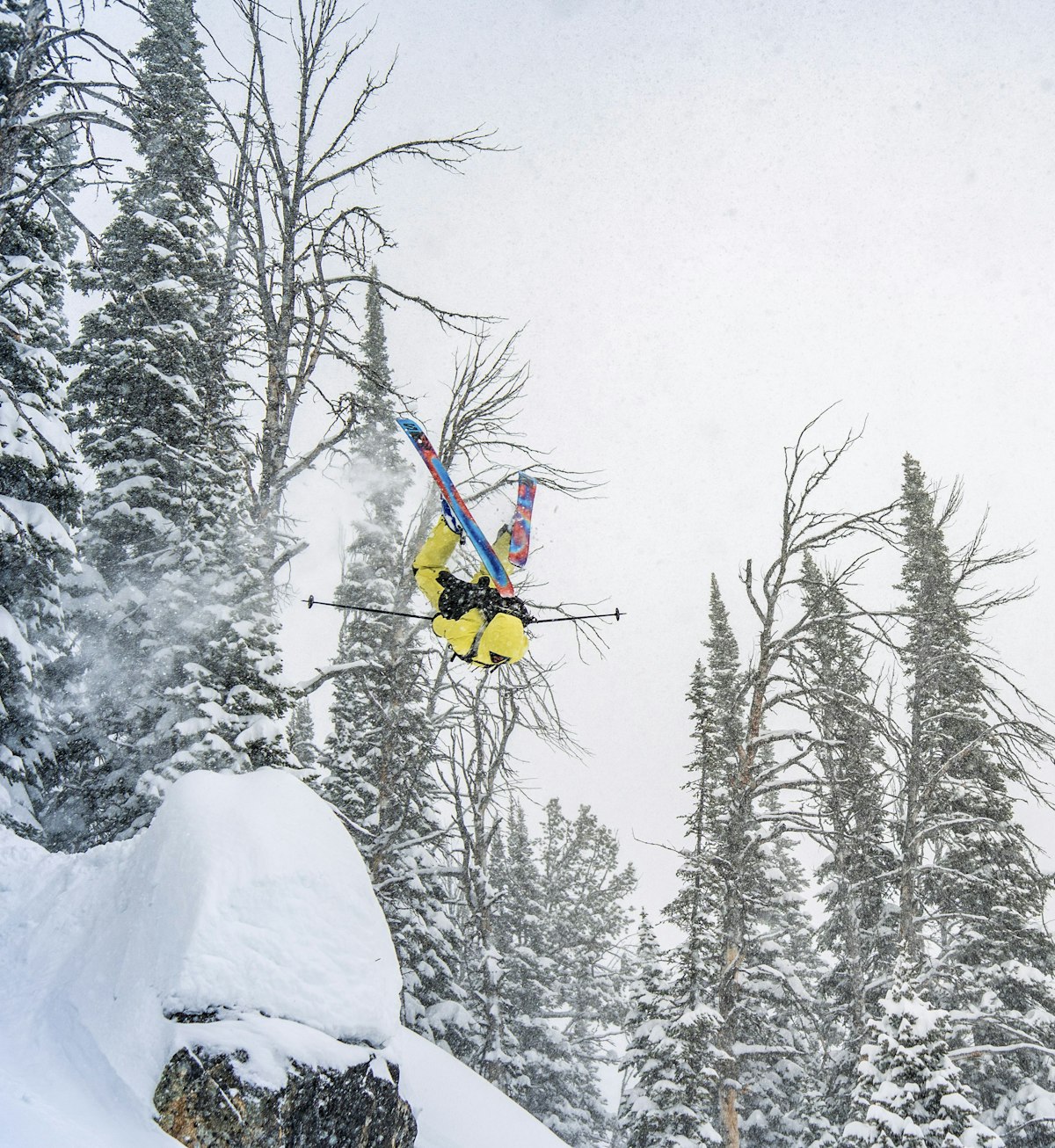 Skiing powder