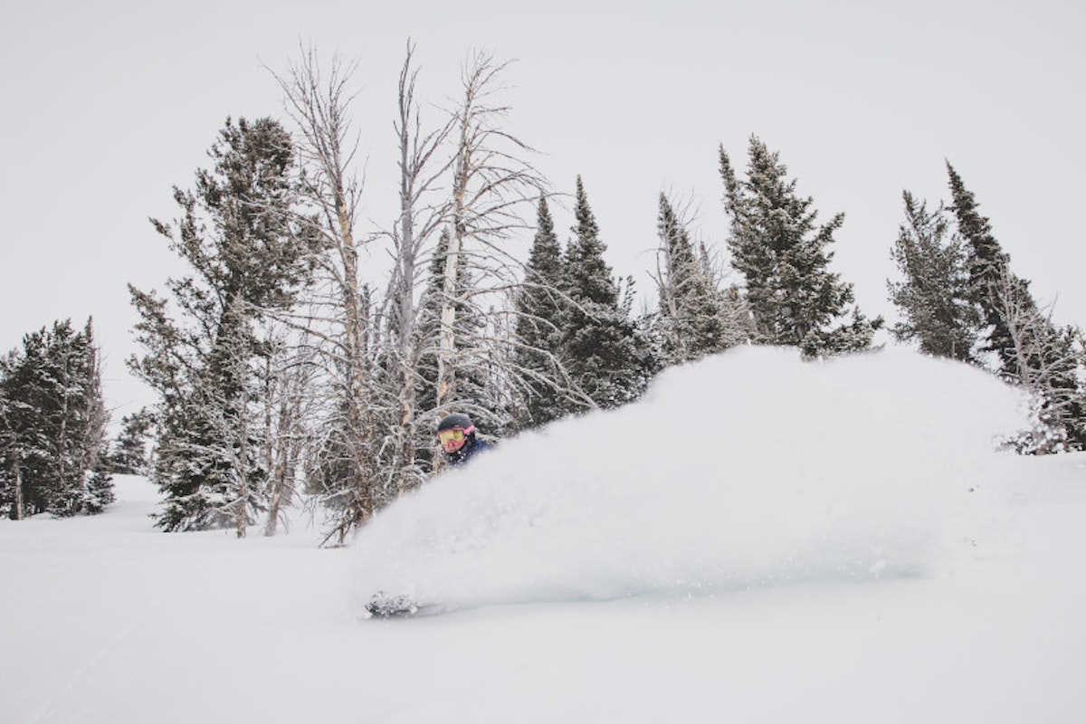 Snowboarding powder