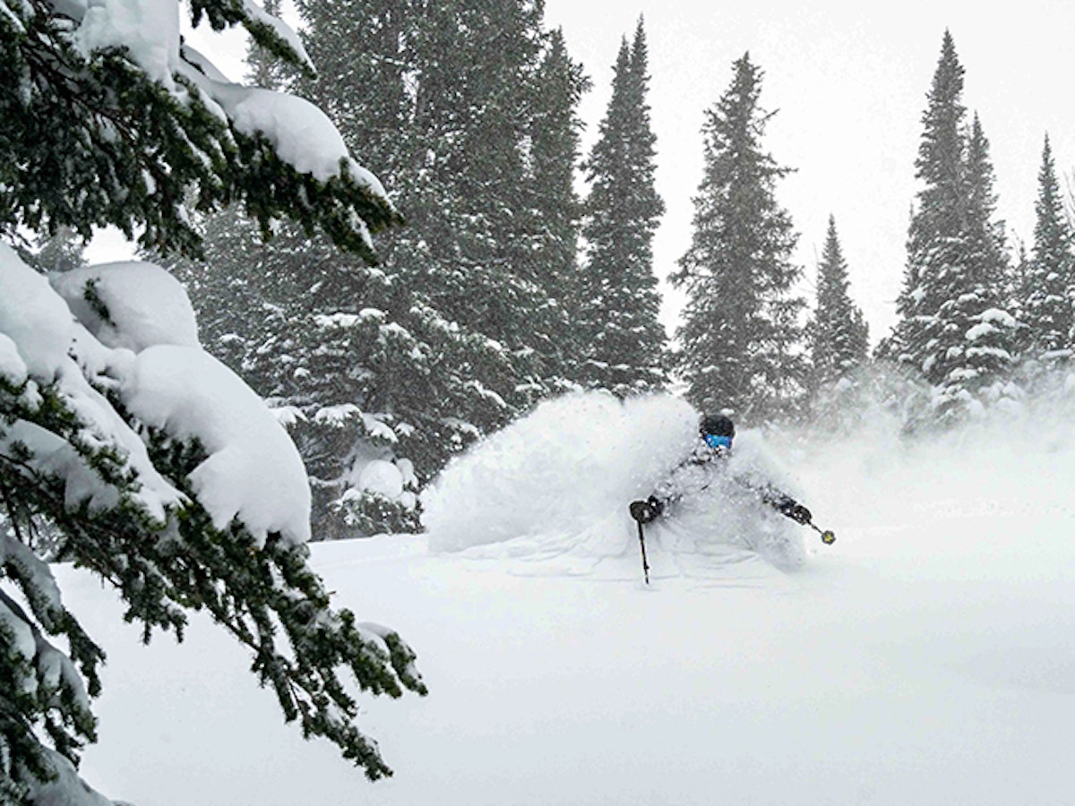Skiing in powder