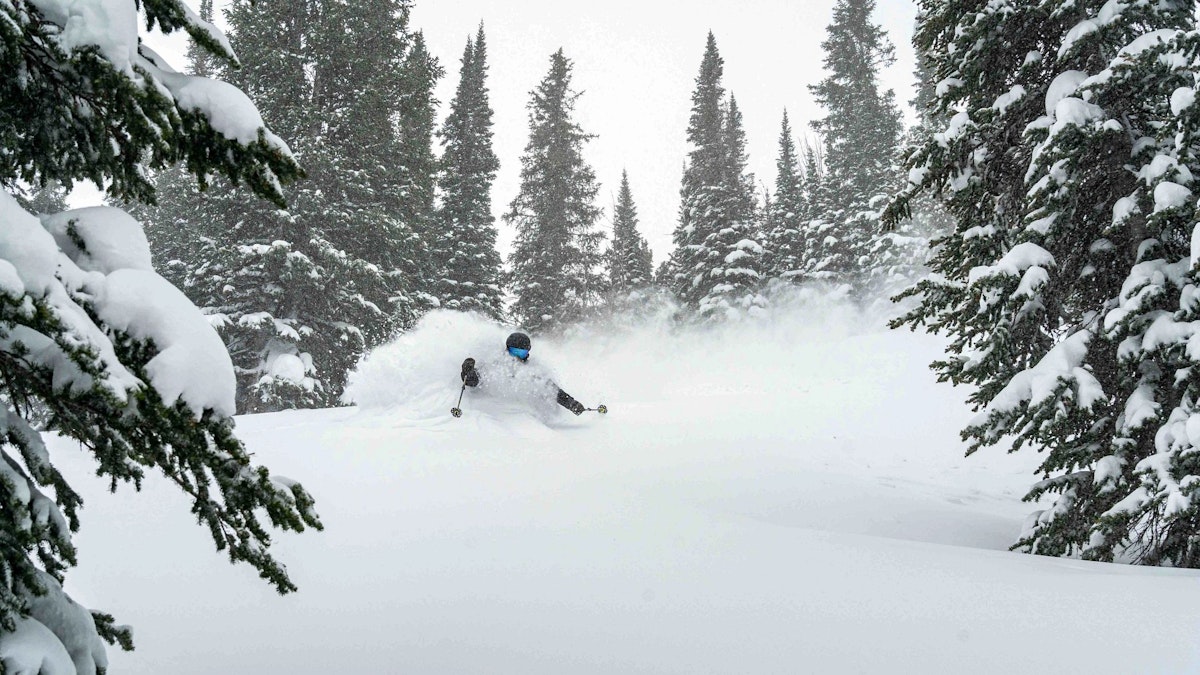 Person skiing in deep powder