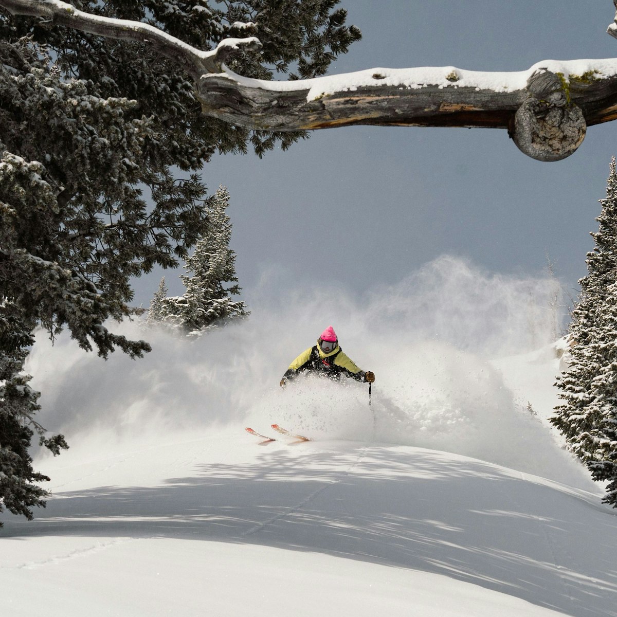 Person skiing in powder