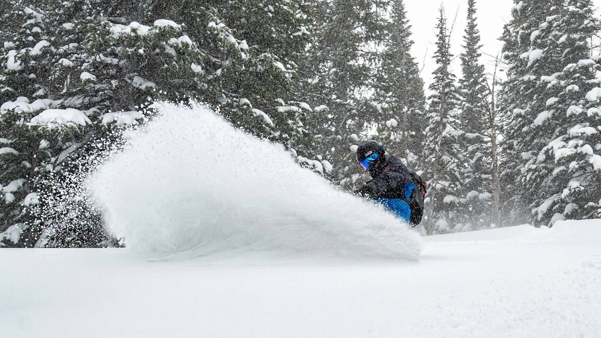 person snowboarding in powder