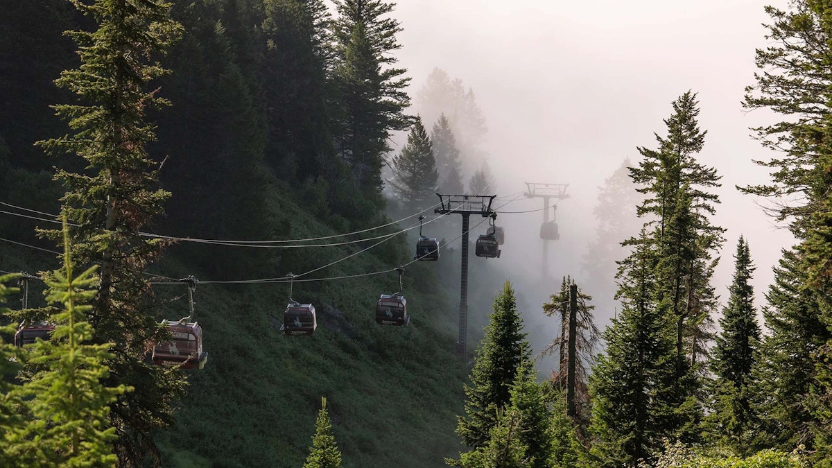 The gondola on a lush morning