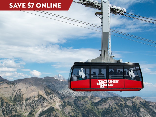 Save $7 on sightseeing tickets online