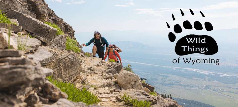 Hikers with Wild Things of Wyoming logo