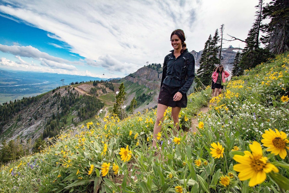 Hiking through the wildflower trail