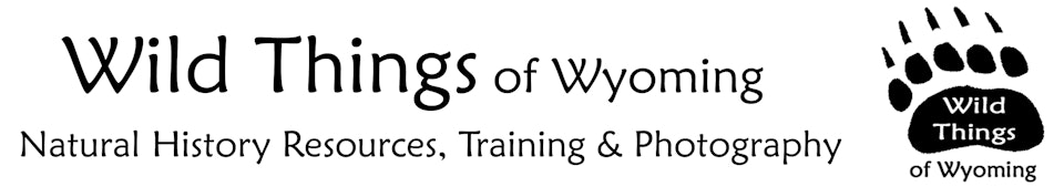 Wild Things of Wyoming banner