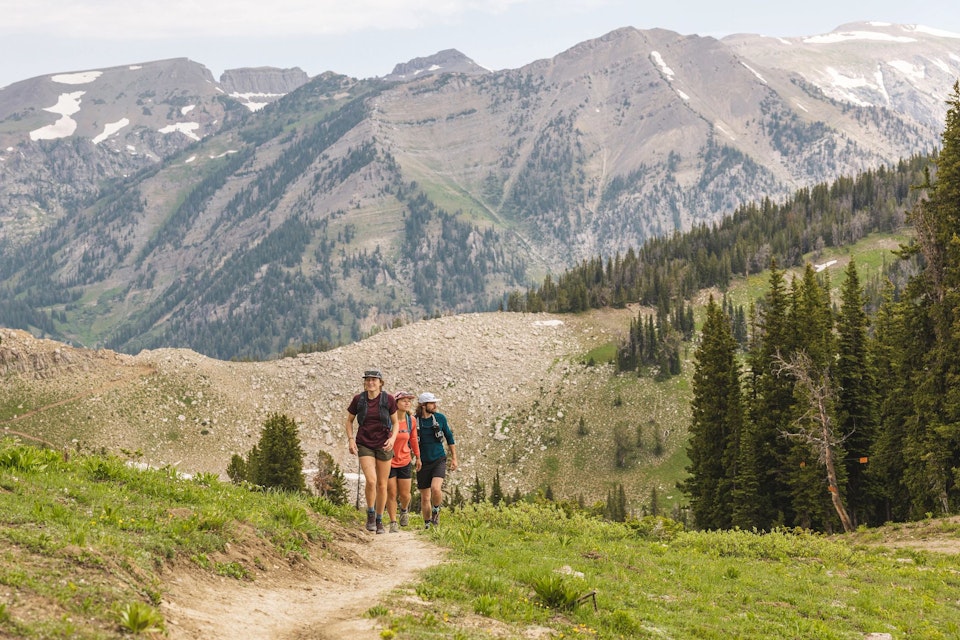 Three people hiking on a trail