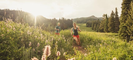 Two people trail running through wildflowers