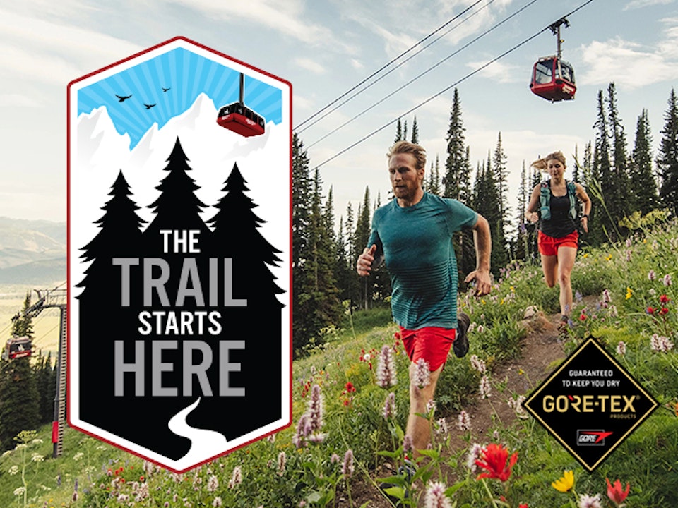 Trail running through wildflowers with the GORE TEX and Trail Starts Here logos