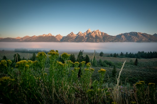 Misty Tetons