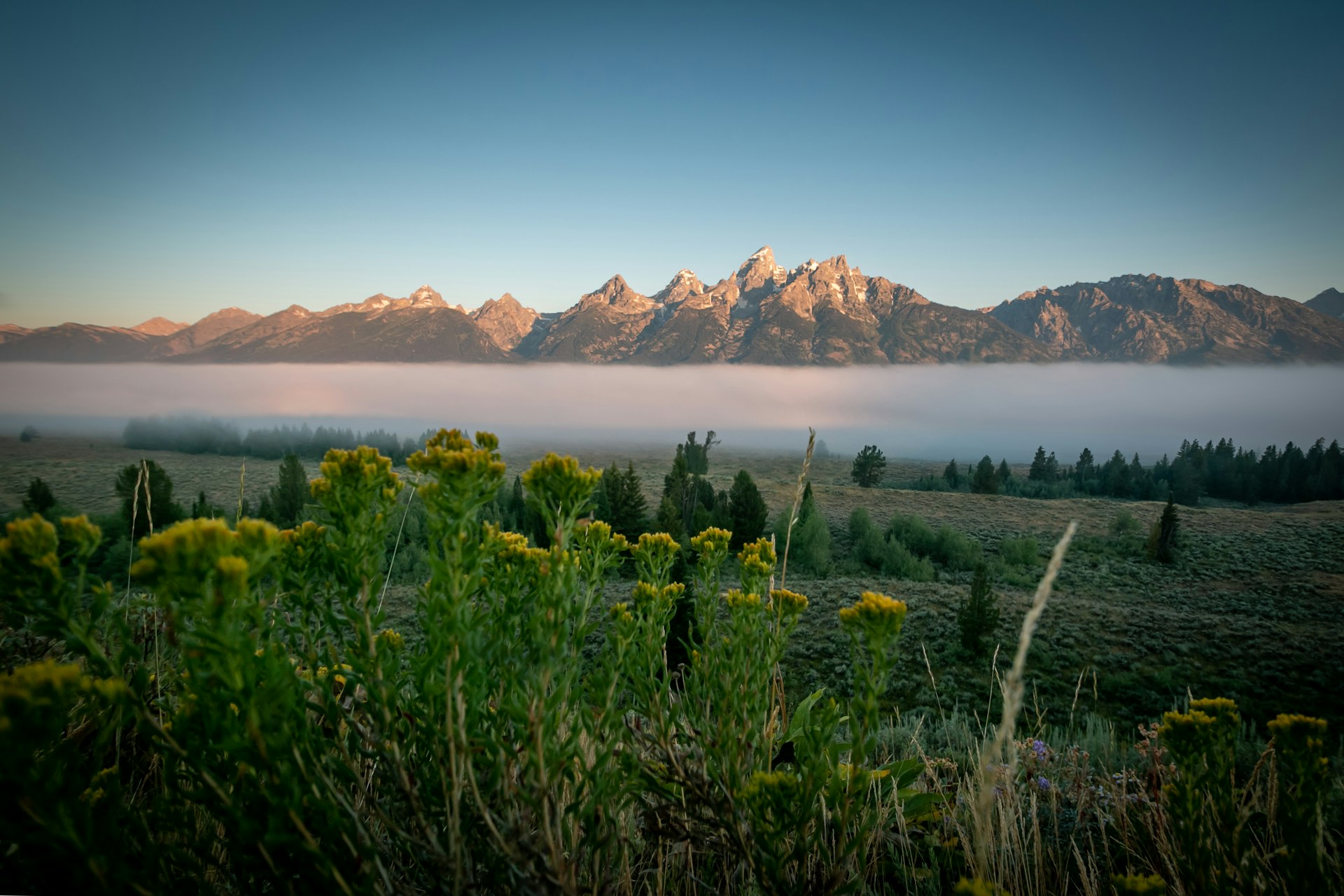 Misty Tetons