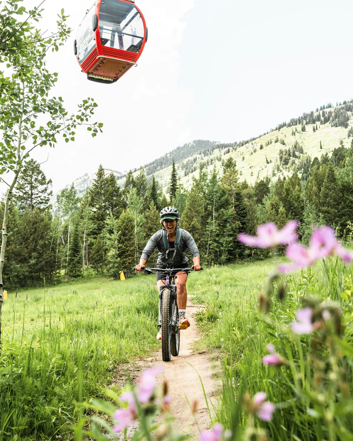 mtb