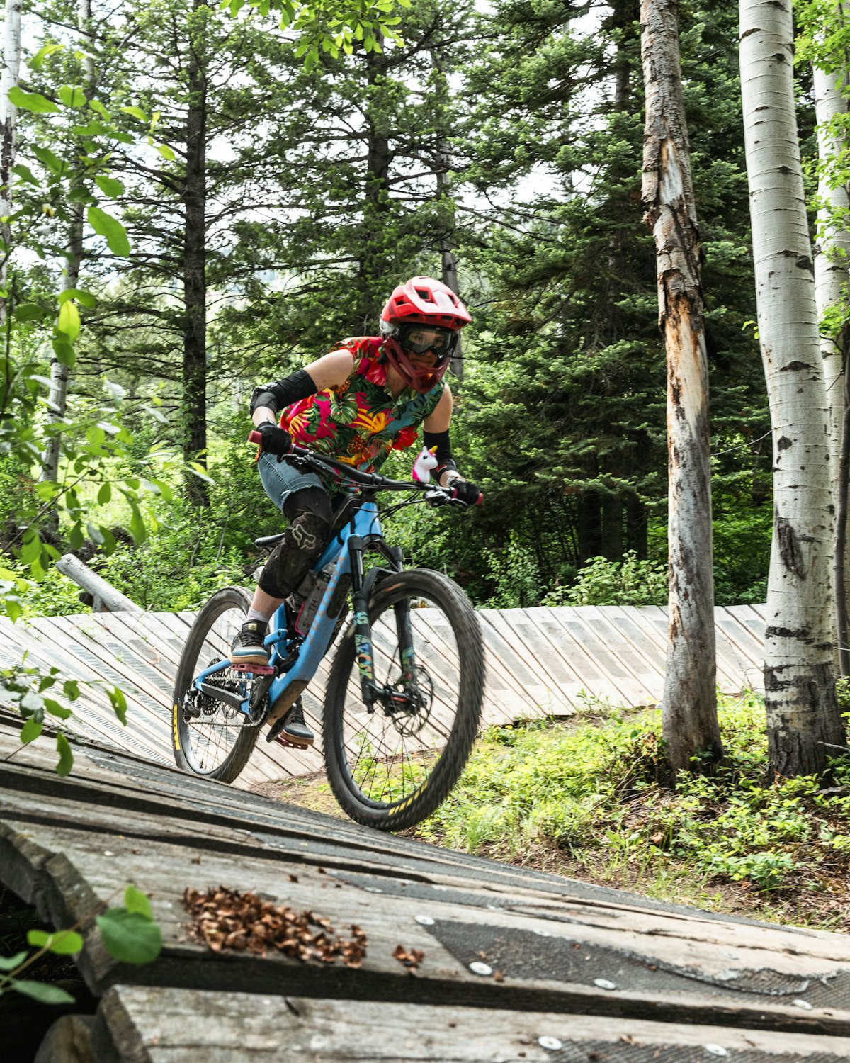 mtb