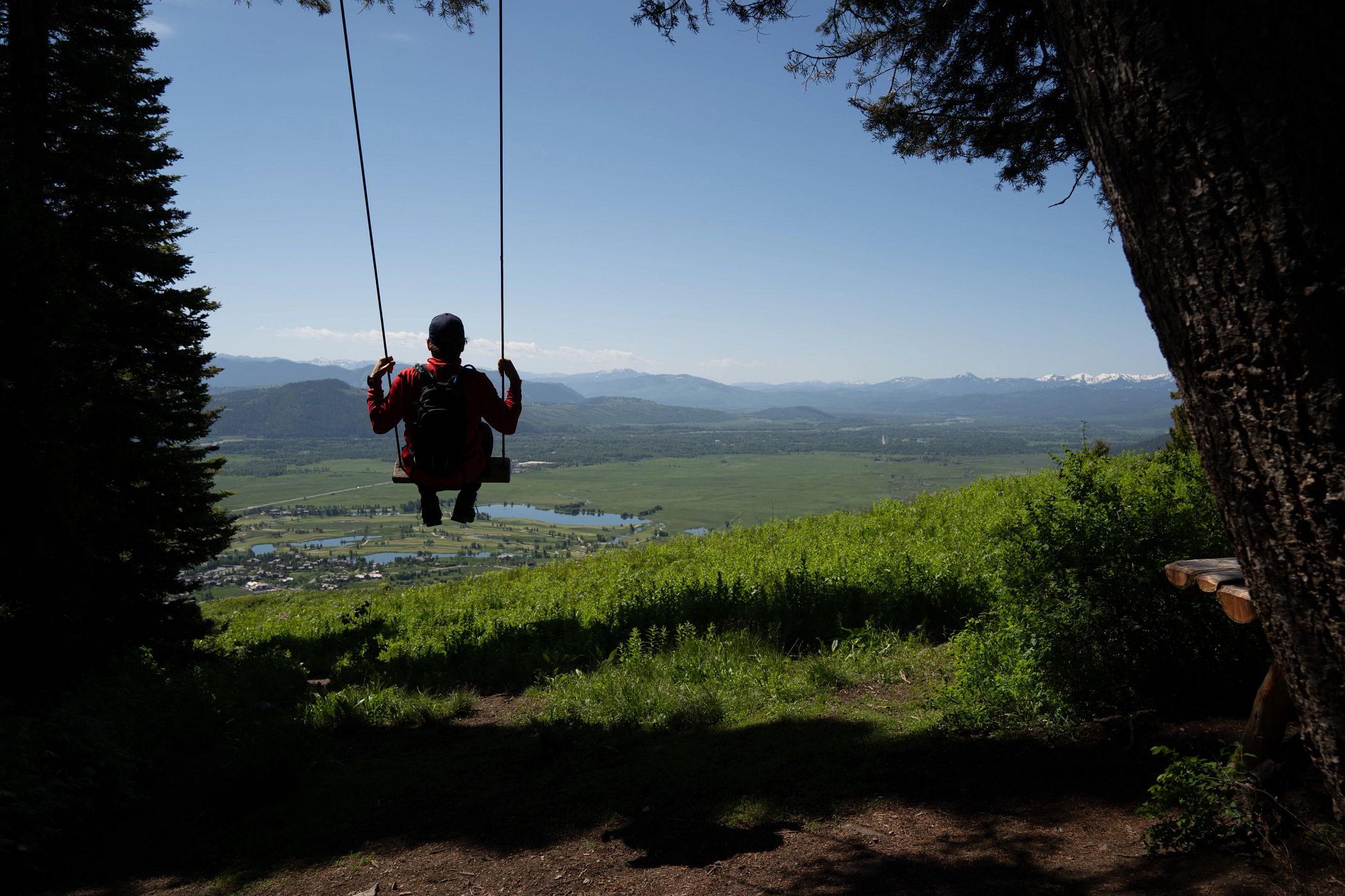 swinging on the Wildflower Trail